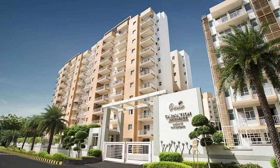 Orris Carnation Residency