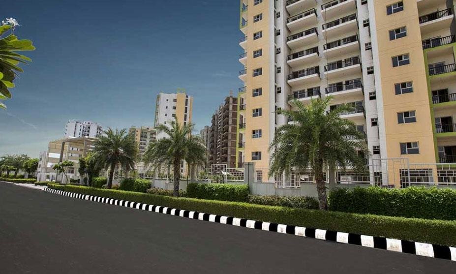 Orris Carnation Residency